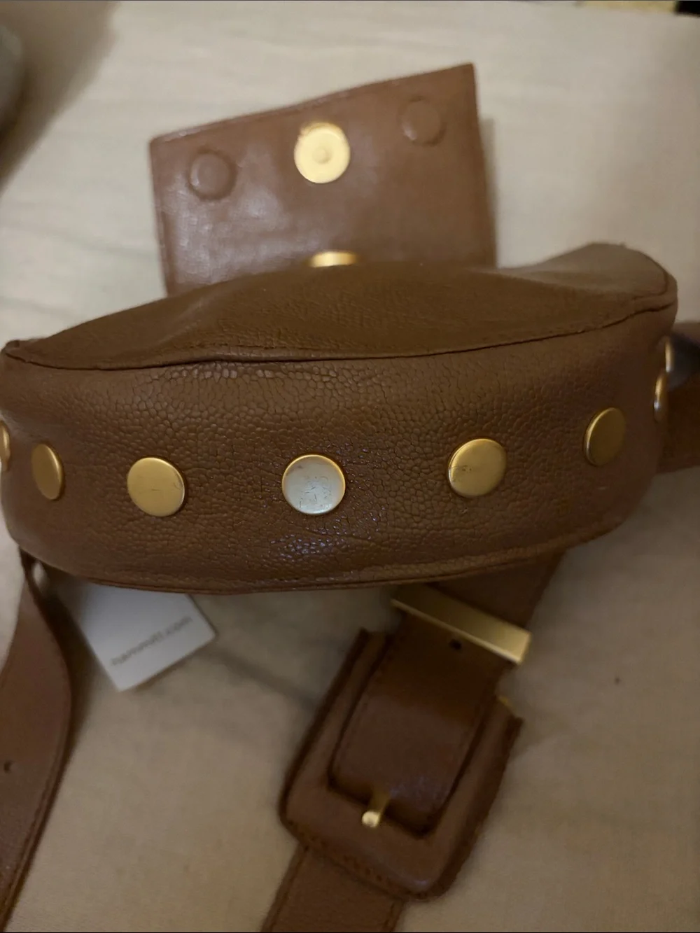 Hammitt Neil Pine Cone Crossbody belt bag NWT